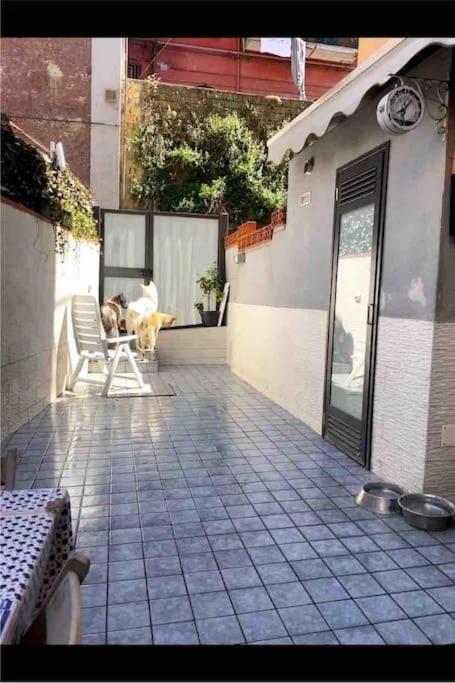 Napoli Centro Casa Con Due Camere E Cucina Kültér fotó